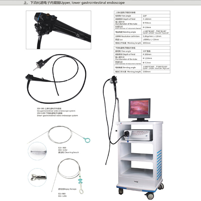 电子上消化道内窥镜